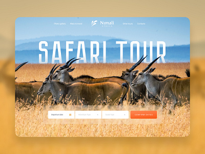 Safari tours booking service