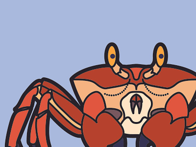 C Is For Crab alphabet animals children crab design illustration kids vector