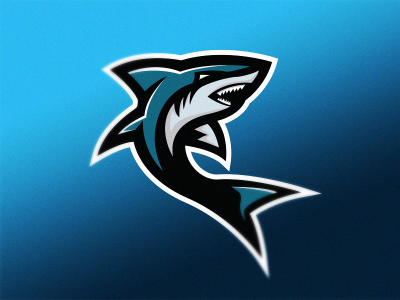 Раскрутка сайта team shark. Акула лого. Shark логотип. Акула Маскот лого. Граффити акула.