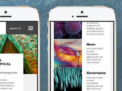 Mobile newsfeed digital design feed newsfeed ui