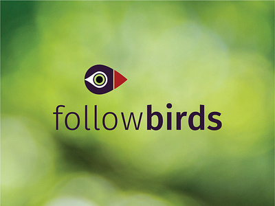 Followbirds logo app branding design flat illustration logo typography ui vector web