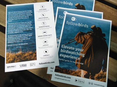 FOLLOWBIRDS adobe illustrator app branding brochure flyer design vector