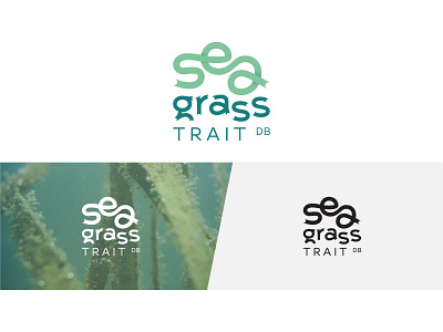 Seagrass Trait DB logo adobe illustrator branding graphic design logo project vector
