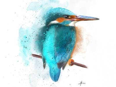Splashy kingfisher digital kingfisher procreate procreateit watercolour
