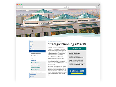 Strategic Plan Website