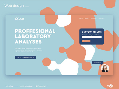 Laboratory web design