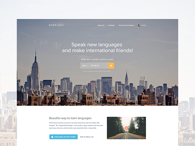 One more landing page landing light page web