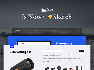 Singleton UI Pack for Sketch cards chart ecommerce header kit landing psd sketch team testiominals ui ui kit