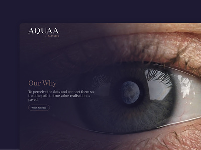 Aquaa Partners web design