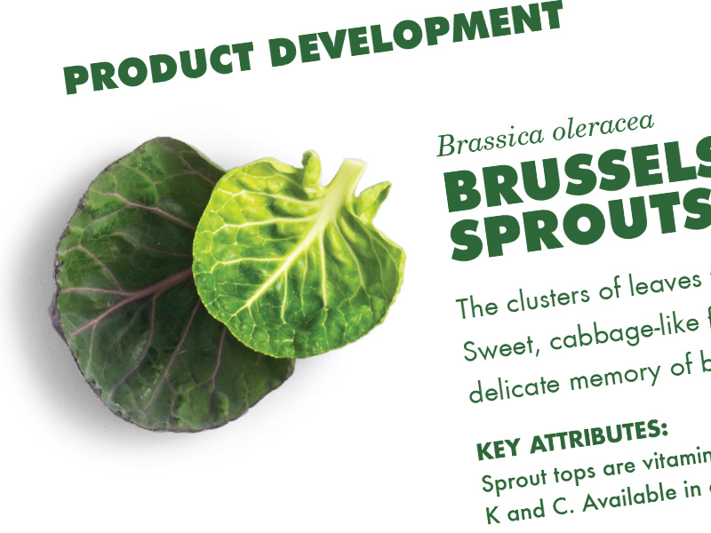 Staples Vegetables by Root Studio on Dribbble