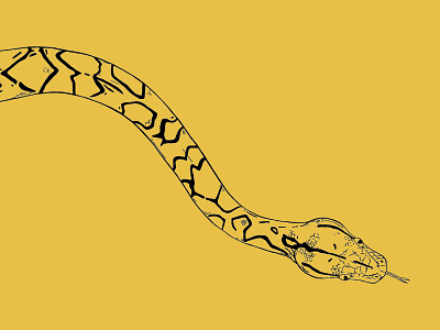 Reticulated Python floor graphic illustration life size line drawing python snake zoo
