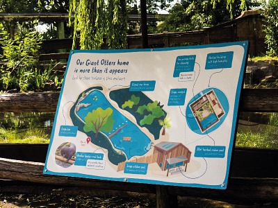 Enclosure & Habitat Illustration for Chester Zoo enclosure giant otter habitat illustration interpretation map panel wildlife zoo