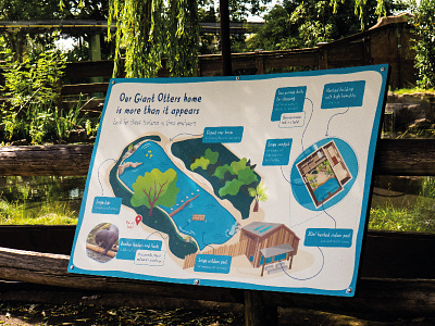 Enclosure & Habitat Illustration for Chester Zoo