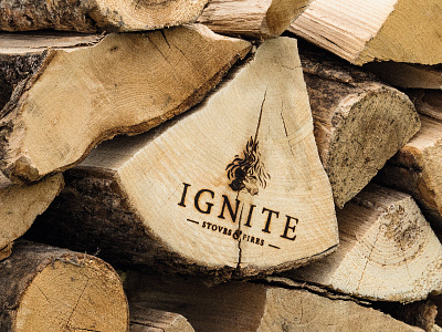 Ignite Stoves Logo Design and Branding brand branding burn fire ignite light logo logs stoves