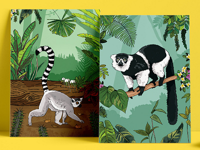 Lemur Habitat Illustrated Posters animals chester zoo forest habitat illustration interpretation jungle lemur plants posters primates ringtail signage tail trees white belted ruffed wildlife zoo