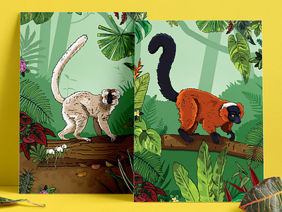 Lemur Habitat Illustrated Posters chester zoo forest habitat illustration interpretation jungle lemur posters red fronted red ruffed signage trees zoo