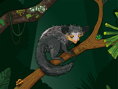 Aye Aye - Chester Zoo Illustration animal aye aye character dark habitat illustration jungle lemur nature night nocturnal ugly wildlife zoo