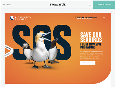 Biosecurity For LIFE Website Design awwwards biosecurity bird development logo nature seabirds single page user interface ux ux design website website design xd