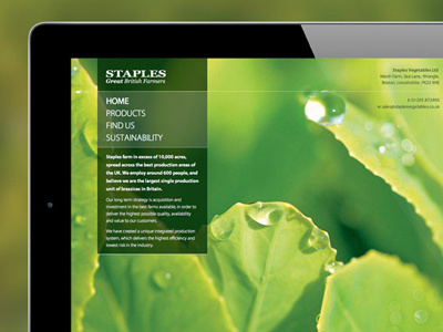 Staples Vegetables Website blurred droplet green leaf staples vegetables water website