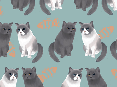 Kitty Wallpaper Design