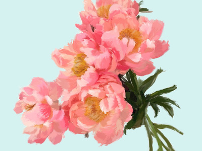Peonies 😍 bridal cosmetic flora floral flowers peonies