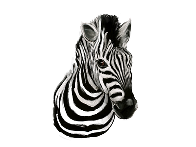 WIP | Zebra africa animal digital painting endangered fauna illustration nature portrait zebra