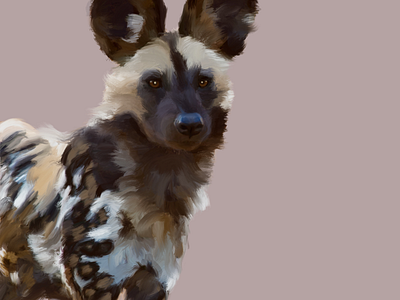 African Wild Dog 🐕🐆