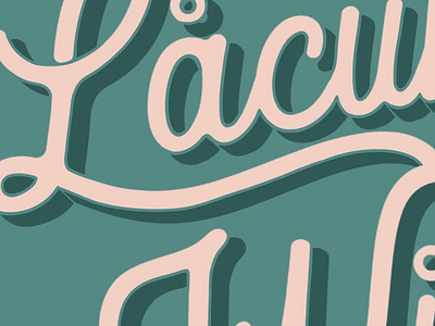 Lacuna Wild- lettering close up lettering brand handlettering