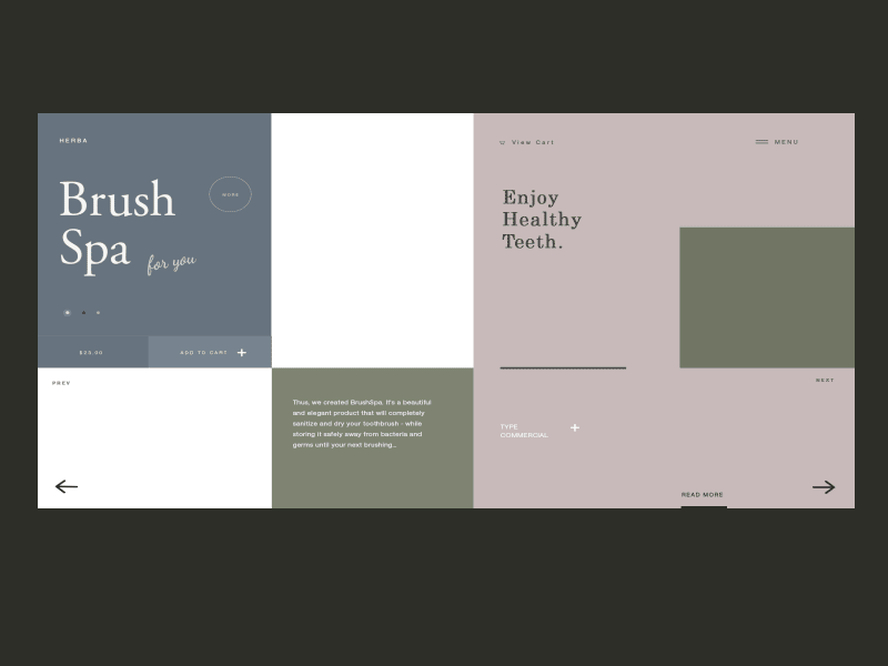 Brush Spa Design Page Animation beautiful branding classic color colors design experiments explore typography ui