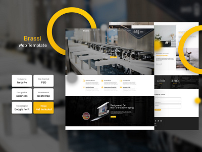 Brassi Web Template landing