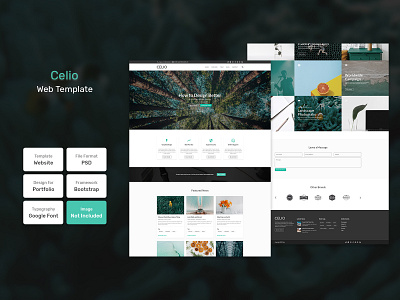 Celio Web Template landing