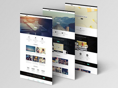 Moki - Multipurpose 126 PSD Template - 3 Option Page