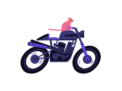 Cafe Kitty Racer animation caféracer cat character illustration motorbike motorcycle photoshop rider sticker