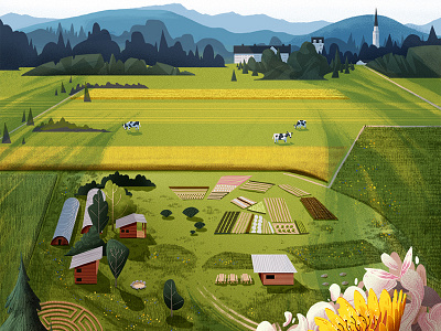 'The Knoll' at Middlebury College cows farm flowers illustration knoll landscape middlebury mountains