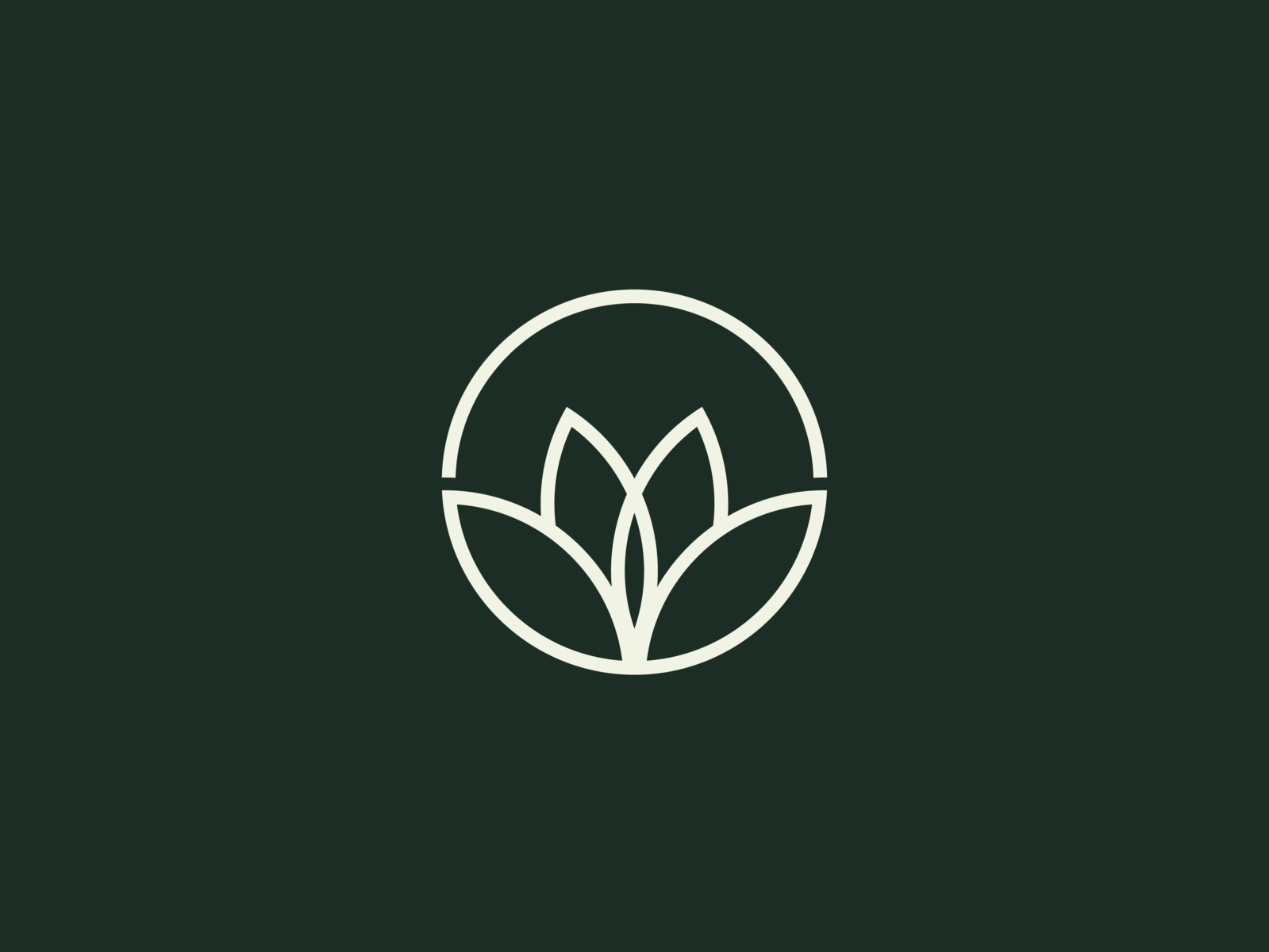 Flower Logo Design by Çağdaş İlke Ünal on Dribbble