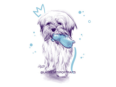 Perle character design dog doodle illustration pet portrait procreate app sketch