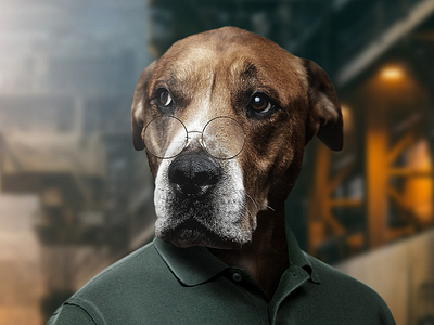 Dogman animal digital imaging dog graphic design manipulating photoshoot photoshop