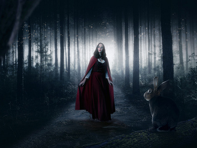 Red Riding Hood animal artwork composing digital imaging graphic design manipulating manipulation photoshop