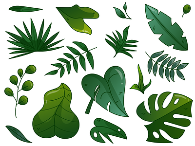 Leaves 🍃 2d cartoon plants cartoon style flat flat leaves gradients ill illustration plants summer plants vector