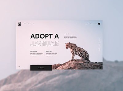 WWF - Adopt a Jaguar Concept animals colour concept design ecommerce gradient jaguar modern slider ui ui design uiux ux uxdesign webdesign