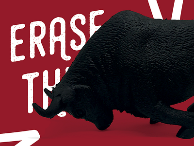 Erase This - The Bull