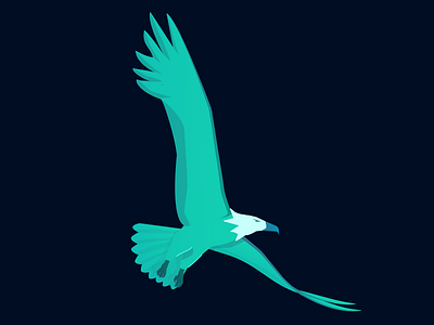 Eagle animal animation beak bird claw eagle flight nature vector wing