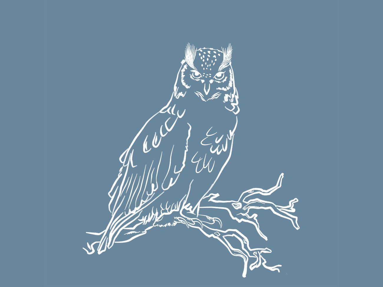 Owl Familiar by Maja Miljkovic on Dribbble