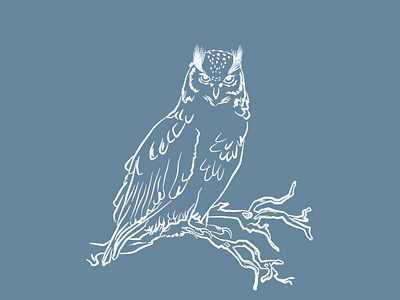 Owl Familiar design illustration minimal print design vector
