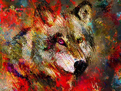 Le loup des steppes