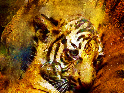 Bebe Tigre By Xavier Marchand On Dribbble