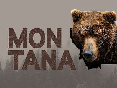 Montana - Grizzly