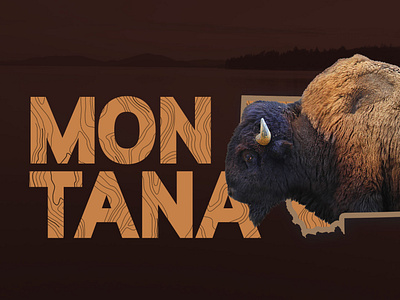 Montana - Bison