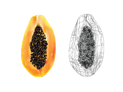 Gradient mesh papaya curves fruits gradient gradient mesh tool illustrator mesh papaya realistic vector vectors