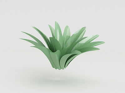 Agave